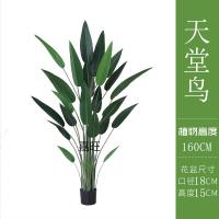 XU0612989